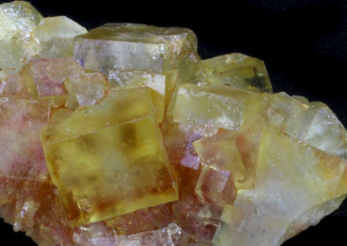 Lustrous, Yellow Cubic Fluorite Crystals - Morocco #37477